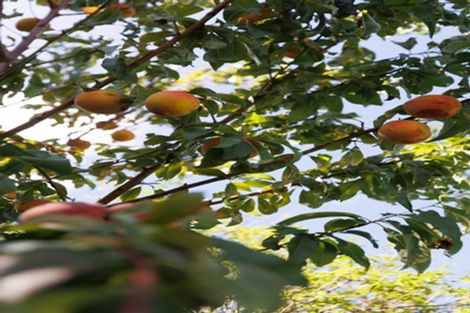 Photo of property in 158 North Avon Road, Richmond, Christchurch, 8013