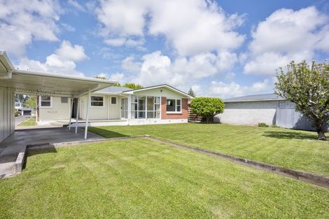 Photo of property in 19 Henare Street, West End, Palmerston North, 4412