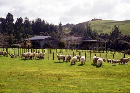 Photo of property in 80 Blackbridge Road, Dairy Flat, Albany, 0794