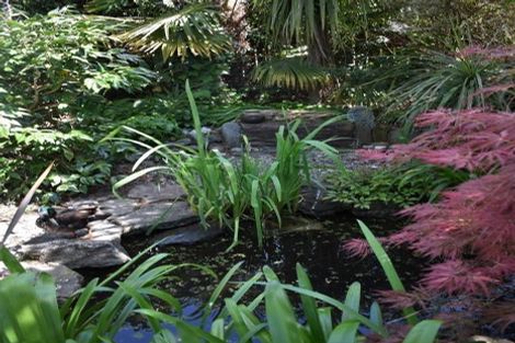 Photo of property in 9 Toru Street, Mapua, 7005