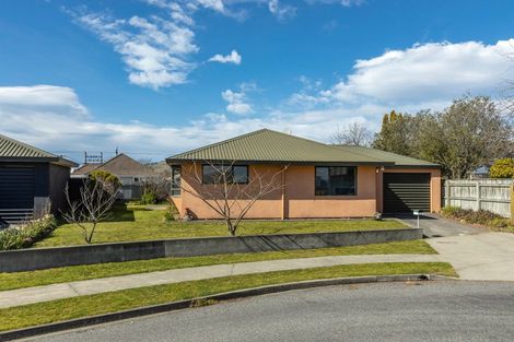 Photo of property in 17a Brookfield Place, Redwoodtown, Blenheim, 7201