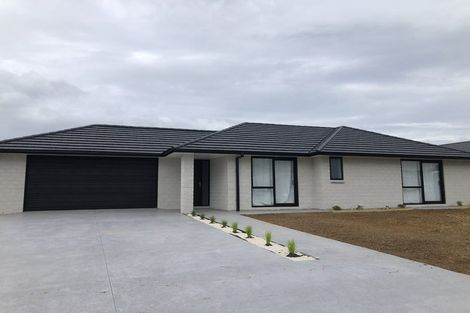 Photo of property in 131 Wairau Drive, Tikipunga, Whangarei, 0112