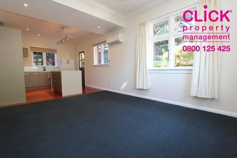 Photo of property in 58 Lonsdale Street, Belleknowes, Dunedin, 9011