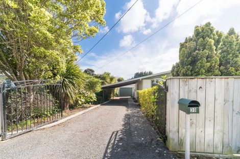 Photo of property in 30 Mill Street, Marton, 4710