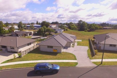 Photo of property in 32 Cambridge Street, Putaruru, 3411