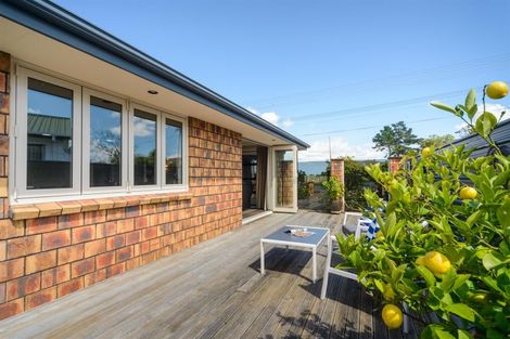 Photo of property in 39 Pukepapa Road, Marton, 4710