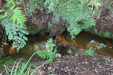 Photo of property in 118 Wrights Road, Raglan, 3295