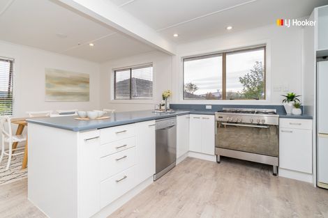 Photo of property in 19 Koremata Street, Green Island, Dunedin, 9018