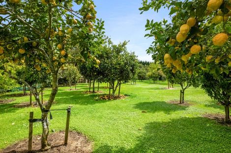 Photo of property in 36 Manutahi Road, Hillsborough, New Plymouth, 4372