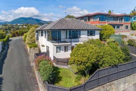 Photo of property in 100 Princes Drive, Britannia Heights, Nelson, 7010