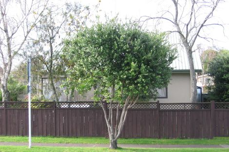 Photo of property in 153 Maungatapu Road, Maungatapu, Tauranga, 3112