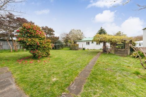 Photo of property in 111 Mulgrave Street, Ashhurst, 4810