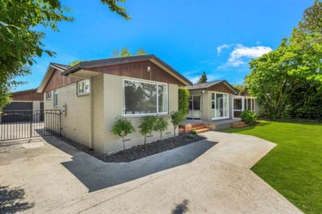 Photo of property in 50 Bernard Street, Chedworth, Hamilton, 3210