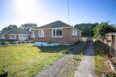 Photo of property in 135 Arapuni Street, Putaruru, 3411