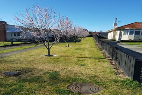 Photo of property in 44 Napier Road, Havelock North, 4130