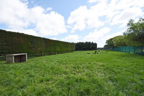 Photo of property in 674 Ryal Bush Wallacetown Road, Wallacetown, Invercargill, 9874