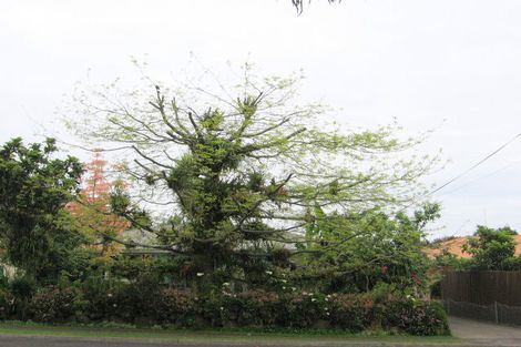 Photo of property in 15 Hamilton Street, Te Aroha, 3320