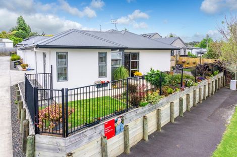 Photo of property in 1/4 Ross View Terrace, Dinsdale, Hamilton, 3204