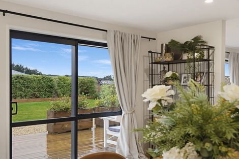 Photo of property in 2/3 Loe Place, Amberley, 7410