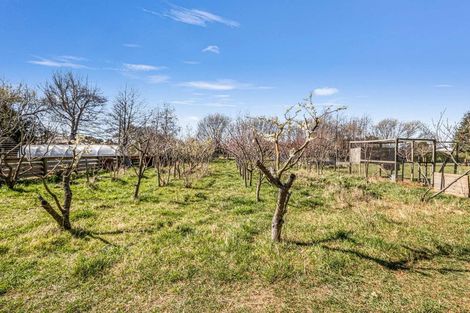 Photo of property in 149 Main Street, Oxford, 7430