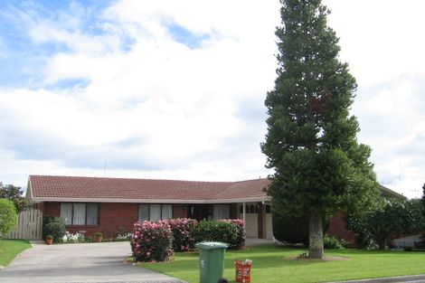 Photo of property in 133 Kings Avenue, Matua, Tauranga, 3110