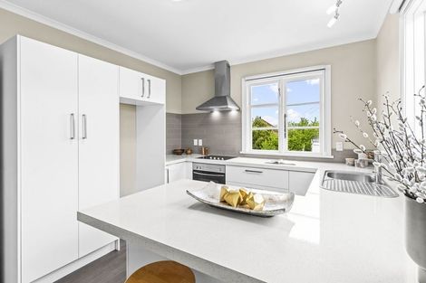Photo of property in 207 Elgin Road, Balaclava, Dunedin, 9011