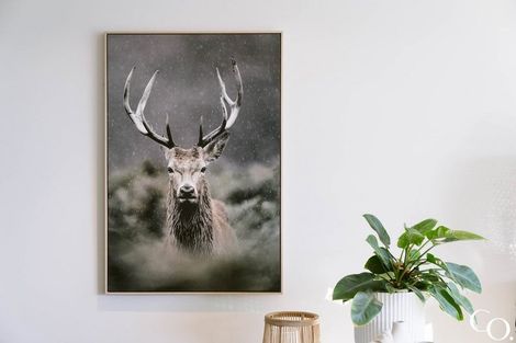 Photo of property in Palm Cove Apartments, 201/6 Tawa Street, Mount Maunganui, 3116