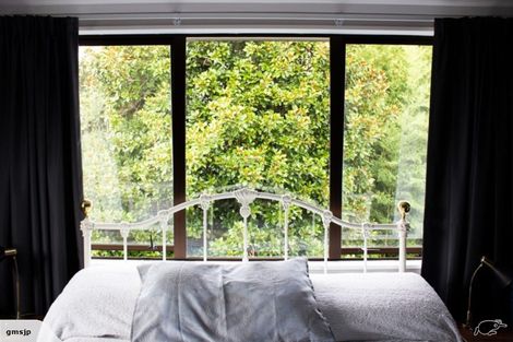 Photo of property in 62 Hazelwood Avenue, Dinsdale, Hamilton, 3204