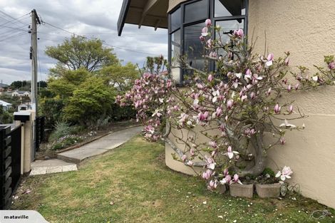 Photo of property in 20 Mataora Road, Kenmure, Dunedin, 9011