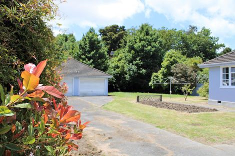 Photo of property in 44 Oxford Street, Lansdowne, Masterton, 5810