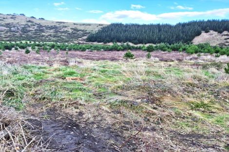 Photo of property in 350 Reu Reu Road, Halcombe, 4779