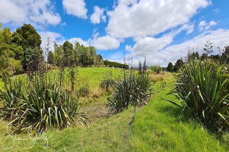 Photo of property in 105 Gorge Road, Maungaturoto, 0520
