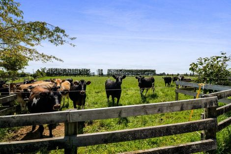 Photo of property in 325a Awai Road, Tarurutangi, New Plymouth, 4372