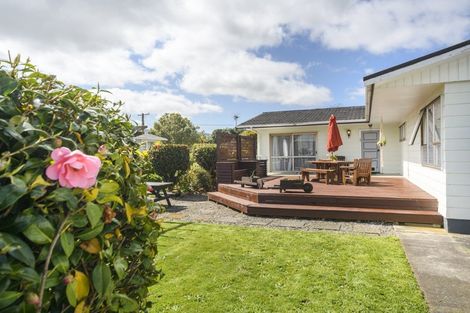 Photo of property in 135 Salisbury Street, Ashhurst, 4810