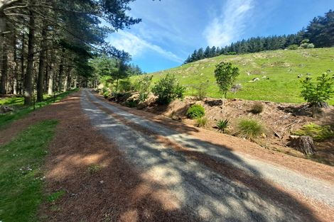 Photo of property in 319 Crownthorpe Settlement Road, Crownthorpe, Hastings, 4179