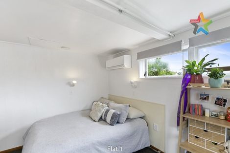 Photo of property in 58 Fairlie Terrace, Kelburn, Wellington, 6021