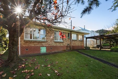 Photo of property in 410 Willoughby Street, Thames, 3500