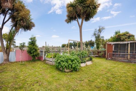 Photo of property in 88 Avenue Road, Foxton, 4814