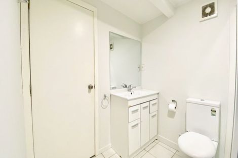 Photo of property in 26 Buchanan Street, Kingsland, Auckland, 1021