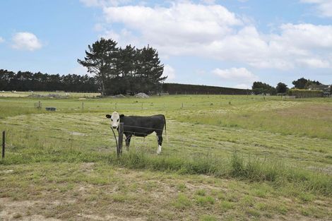 Photo of property in 660 Mill North, Makarewa, Invercargill, 9876