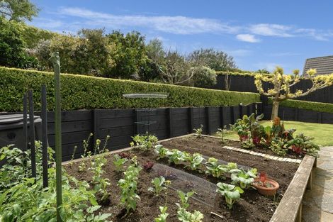 Photo of property in 16 Raukawa Drive, Bethlehem, Tauranga, 3110