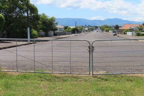 Photo of property in 85 Barraud Street, Dannevirke, 4930