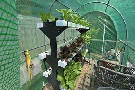 Photo of property in 17 Woods Ridge Road, Kawau Island, 0920