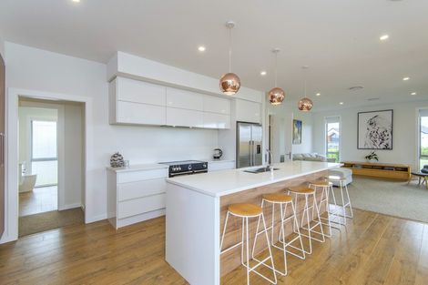 Photo of property in 64 Eastfield Drive, Lincoln, 7608