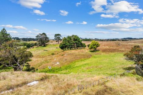 Photo of property in 142 Colville Road, Dargaville, 0377