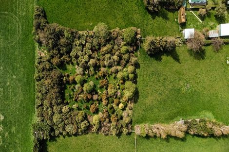 Photo of property in 37 North Branch Road, Milton, 9291