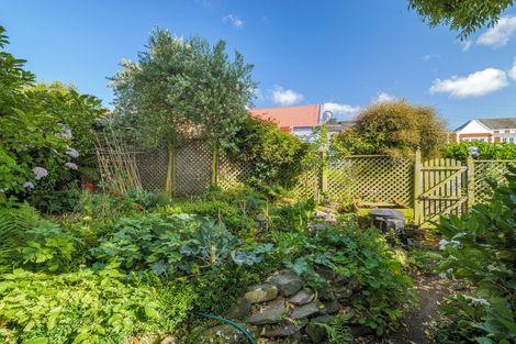 Photo of property in 48 Melville Street, Dunedin Central, Dunedin, 9016