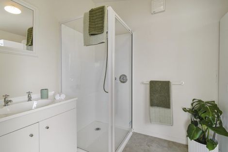 Photo of property in 265 Cape Saunders Road, Cape Saunders, Dunedin, 9077