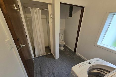 Photo of property in 20 Rhodes Street, Newtown, Wellington, 6021