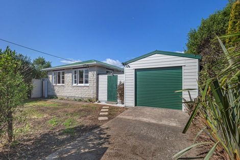 Photo of property in 150 Bartholomew Road, Levin, 5510